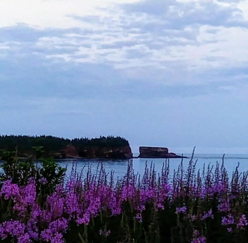 Moore'S Specialties Fundy Bay House Rental Gardner Creek Luaran gambar