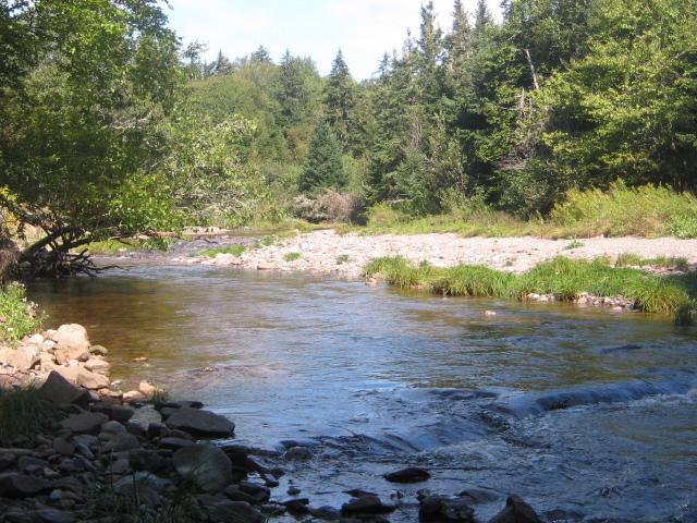 Moore'S Specialties Fundy Bay House Rental Gardner Creek Luaran gambar