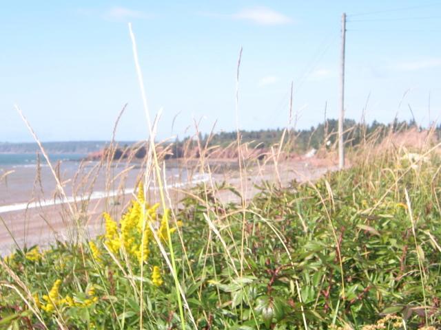 Moore'S Specialties Fundy Bay House Rental Gardner Creek Luaran gambar