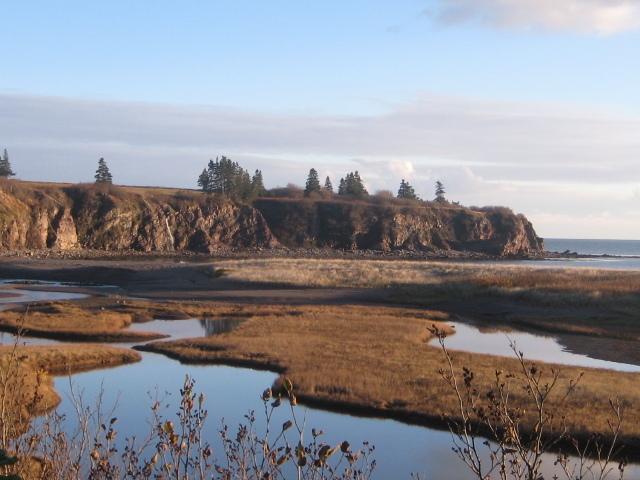 Moore'S Specialties Fundy Bay House Rental Gardner Creek Luaran gambar