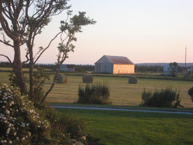 Moore'S Specialties Fundy Bay House Rental Gardner Creek Luaran gambar