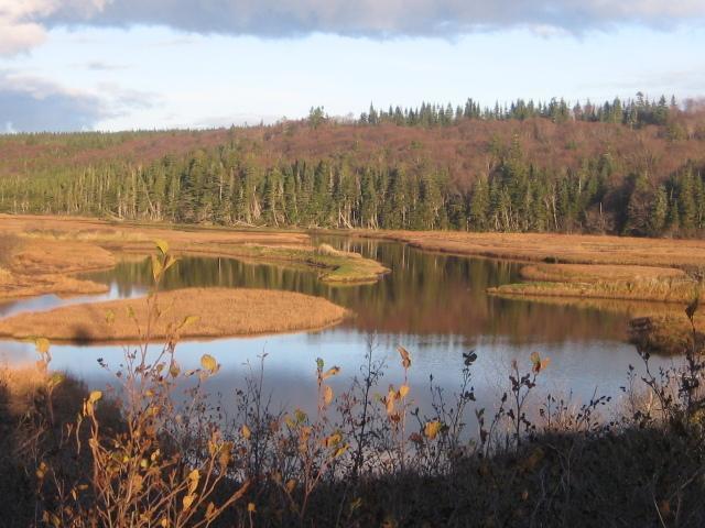 Moore'S Specialties Fundy Bay House Rental Gardner Creek Luaran gambar