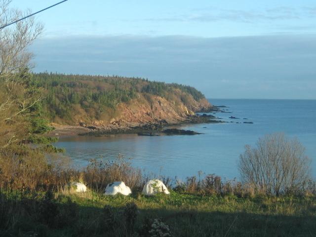 Moore'S Specialties Fundy Bay House Rental Gardner Creek Luaran gambar