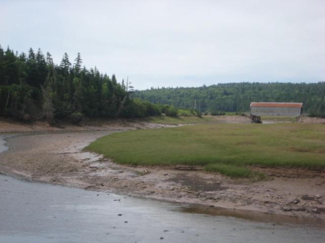 Moore'S Specialties Fundy Bay House Rental Gardner Creek Luaran gambar